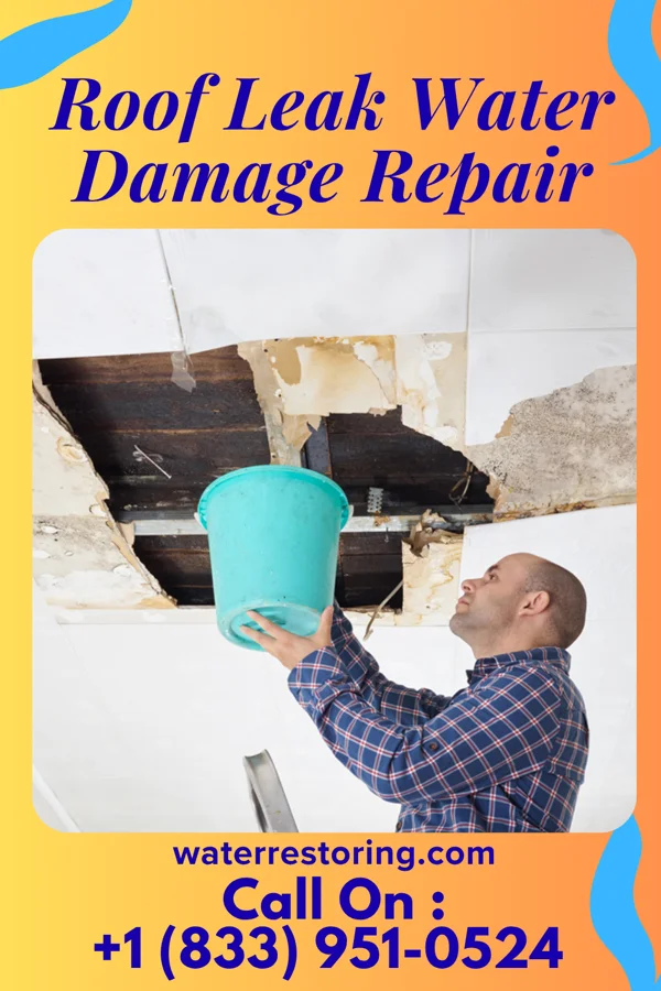 Roof Leak Water Damage Repair in Warsaw, IL